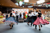 Ennek a képnek nincs leírása.