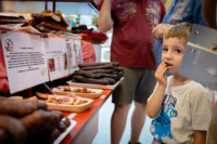 Ennek a képnek nincs leírása.