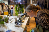 Cím nélküli előnézeti kép. Ennek a képnek nincs leírása.