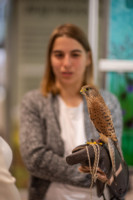 Cím nélküli előnézeti kép. Ennek a képnek nincs leírása.