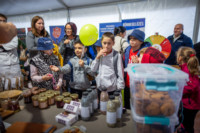 Cím nélküli előnézeti kép. Ennek a képnek nincs leírása.