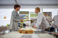 Cím nélküli előnézeti kép. Ennek a képnek nincs leírása.