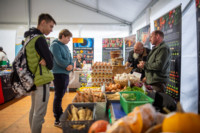 Cím nélküli előnézeti kép. Ennek a képnek nincs leírása.