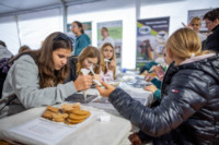 Cím nélküli előnézeti kép. Ennek a képnek nincs leírása.