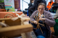 Cím nélküli előnézeti kép. Ennek a képnek nincs leírása.