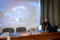 Ennek a képnek nincs leírása.