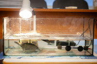 Ennek a képnek nincs leírása.