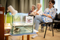 Ennek a képnek nincs leírása.