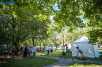 Cím nélküli előnézeti kép. Ennek a képnek nincs leírása.