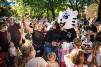 Cím nélküli előnézeti kép. Ennek a képnek nincs leírása.