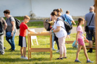 Ennek a képnek nincs leírása.