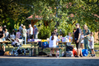 Ennek a képnek nincs leírása.