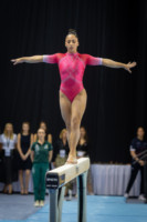 Ennek a képnek nincs leírása.