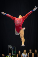 Ennek a képnek nincs leírása.