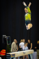 Ennek a képnek nincs leírása.