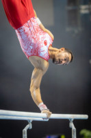 Ennek a képnek nincs leírása.