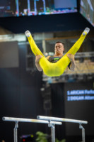 Ennek a képnek nincs leírása.