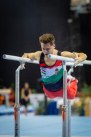 Ennek a képnek nincs leírása.