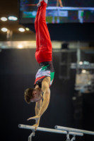 Ennek a képnek nincs leírása.