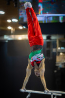 Ennek a képnek nincs leírása.