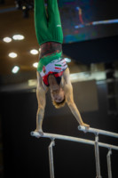 Ennek a képnek nincs leírása.