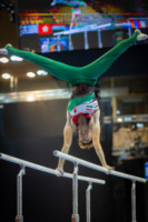 Ennek a képnek nincs leírása.