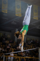 Ennek a képnek nincs leírása.