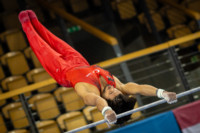 Ennek a képnek nincs leírása.