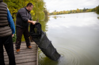 Ennek a képnek nincs leírása.