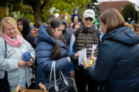 Ennek a képnek nincs leírása.