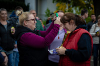 Ennek a képnek nincs leírása.