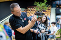 Ennek a képnek nincs leírása.