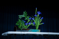 Ennek a képnek nincs leírása.