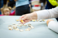 Ennek a képnek nincs leírása.