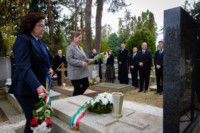 Cím nélküli előnézeti kép. Ennek a képnek nincs leírása.