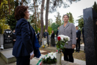 Cím nélküli előnézeti kép. Ennek a képnek nincs leírása.