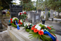 Cím nélküli előnézeti kép. Ennek a képnek nincs leírása.