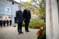 Ennek a képnek nincs leírása.