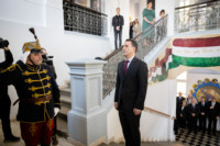 Ennek a képnek nincs leírása.