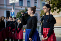 Ennek a képnek nincs leírása.