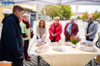 Ennek a képnek nincs leírása.