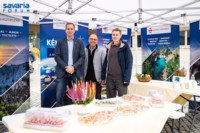 Ennek a képnek nincs leírása.