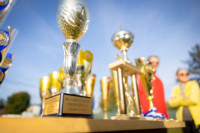 Cím nélküli előnézeti kép. Ennek a képnek nincs leírása.