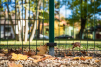 Cím nélküli előnézeti kép. Ennek a képnek nincs leírása.