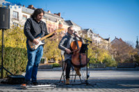 Ennek a képnek nincs leírása.