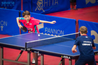 Ennek a képnek nincs leírása.