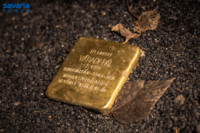 Ennek a képnek nincs leírása.