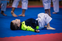 Ennek a képnek nincs leírása.