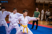 Ennek a képnek nincs leírása.