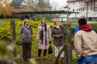 Ennek a képnek nincs leírása.